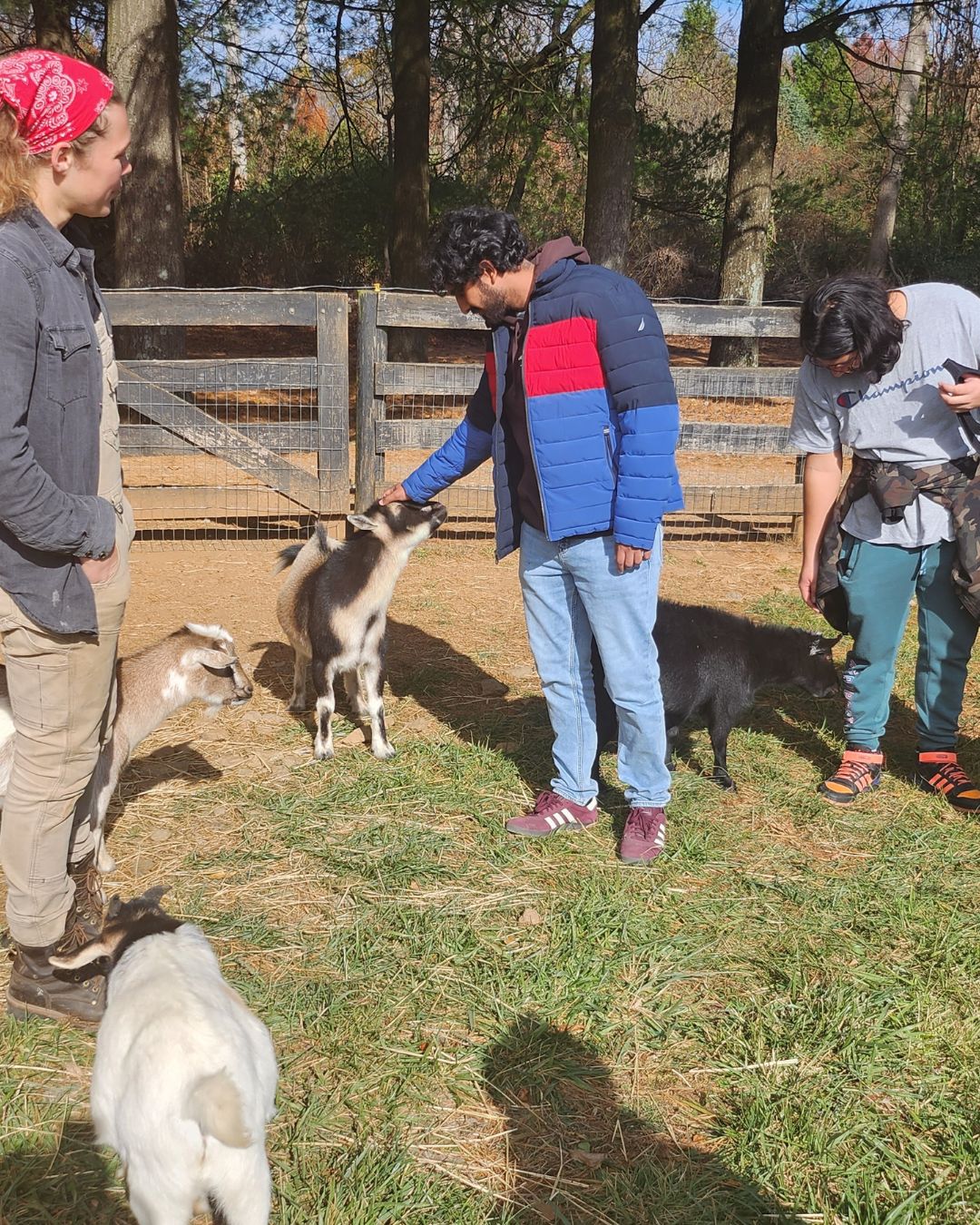 Steadfast youth and staff with goats on an outing